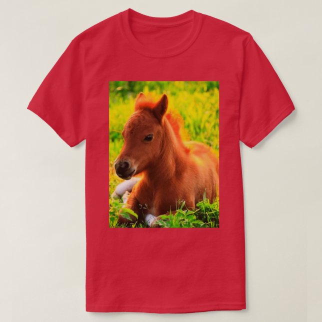 Camiseta Pony (Diseño del anverso)