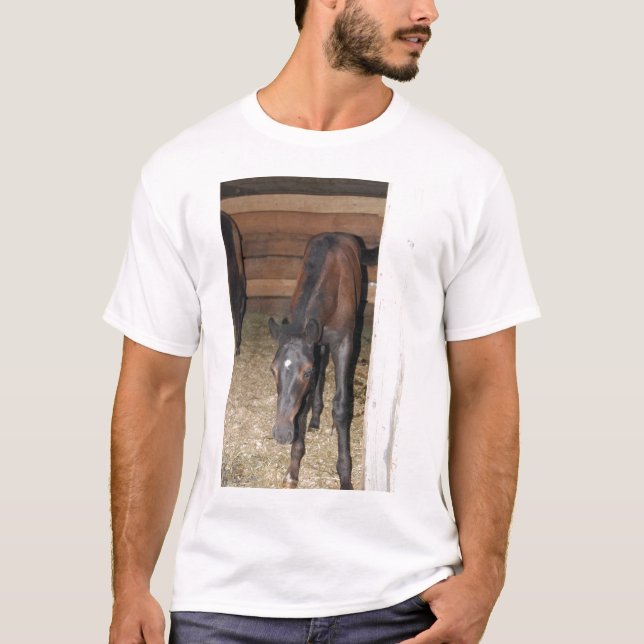 Camiseta Pony/Horse (Anverso)