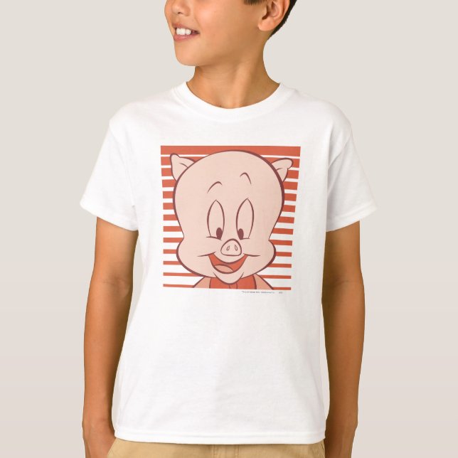 Camiseta Porky Pig Expressive 23 (Anverso)