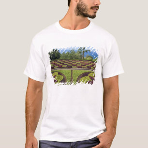Camiseta Portugal, Isla de Madeira, Funchal. Botánico