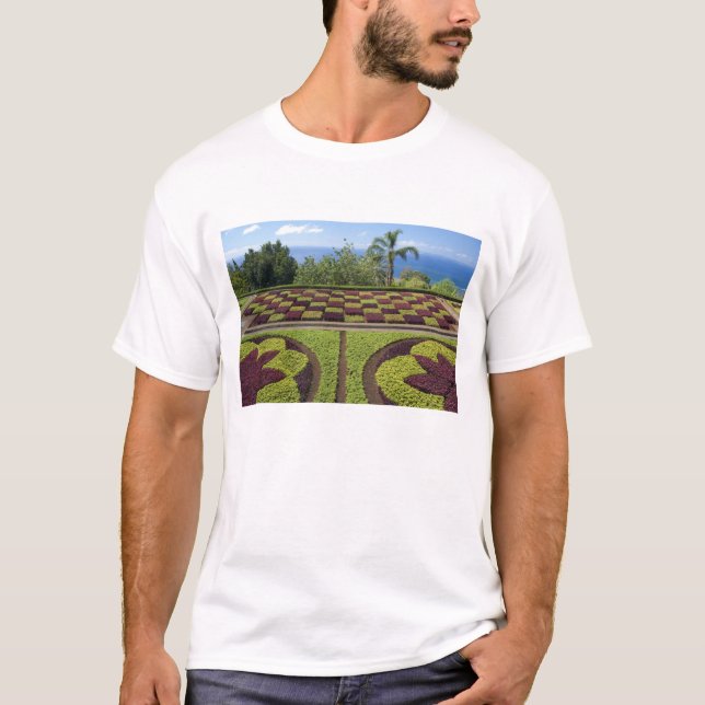 Camiseta Portugal, Isla de Madeira, Funchal. Botánico (Anverso)