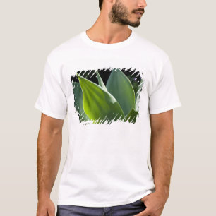 Camiseta Portugal, Isla de Madeira, Funchal. Botánico
