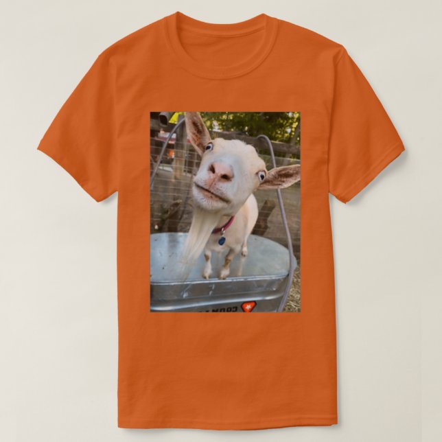 Camiseta posta (Diseño del anverso)