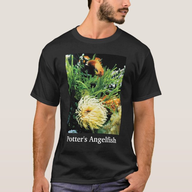 Camiseta Potter's Angelfish (Anverso)