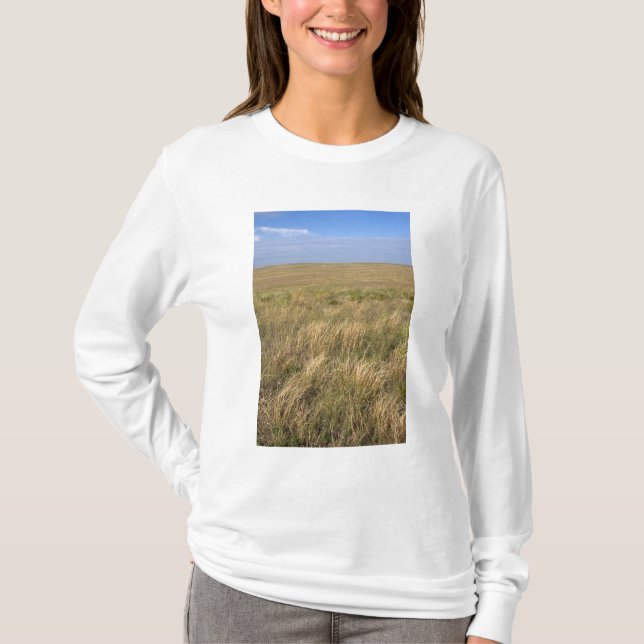 Camiseta Pradera de pastizales al este de Sidney, Nebraska. (Anverso)