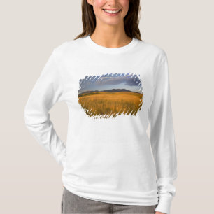 Camiseta Praderas en las estribaciones de