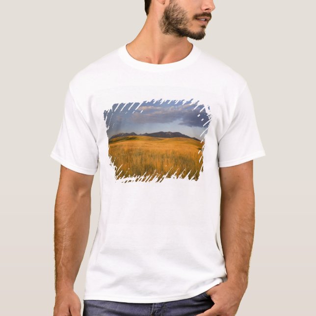 Camiseta Praderas en las estribaciones de las (Anverso)