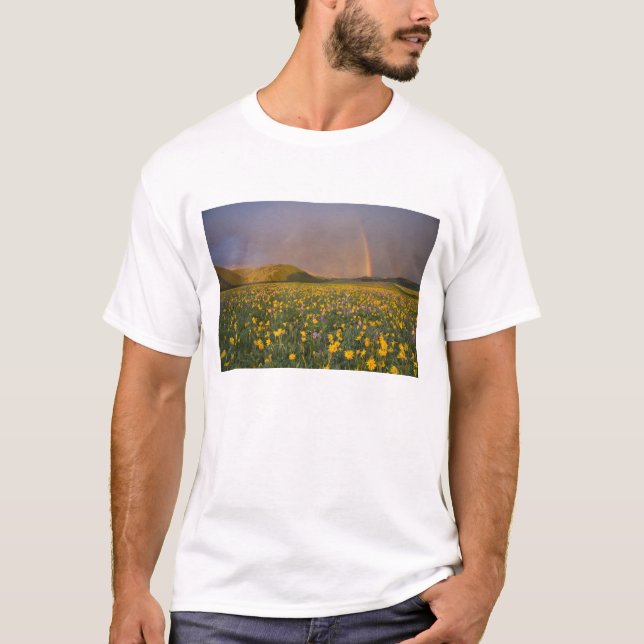 Camiseta Prado de flores silvestres espectacular al amanece (Anverso)