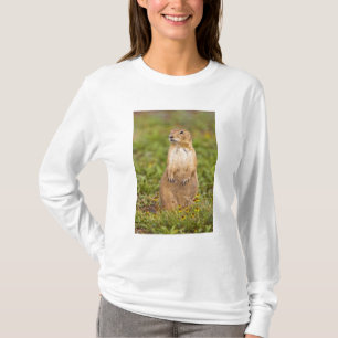 Camiseta Prairie Dog Cynomys