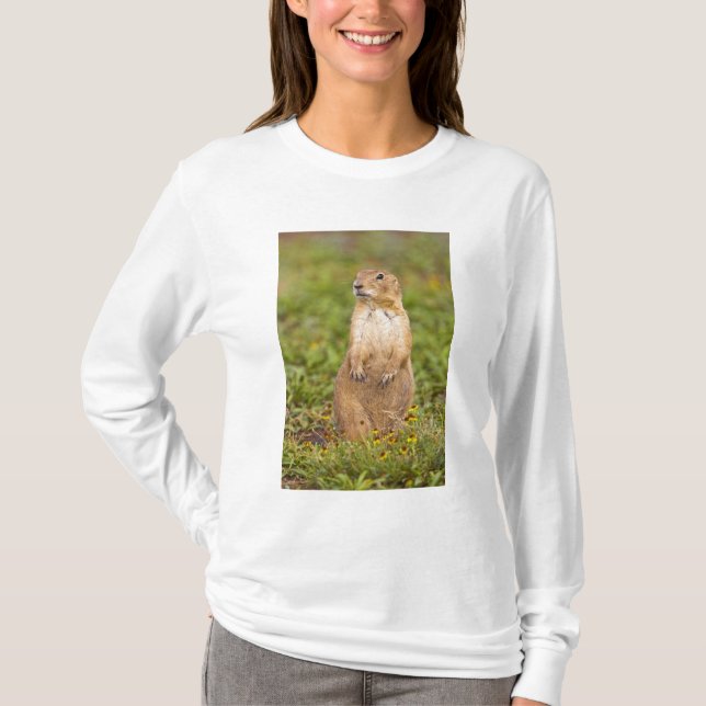 Camiseta Prairie Dog Cynomys (Anverso)