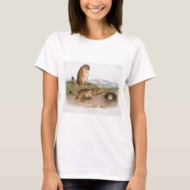 Camiseta Prairie Perro o Prairie marmot ardilla Camping (Anverso)