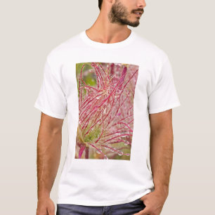 Camiseta Prairie Smoke bajo la lluvia en Theodore