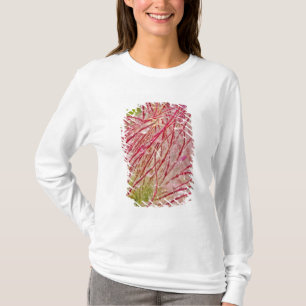 Camiseta Prairie Smoke bajo la lluvia en Theodore