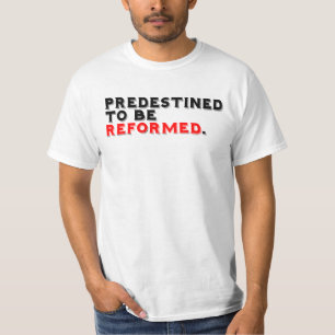 Camiseta Predestined
