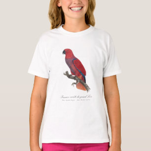 Camiseta Premiere variete du grand Lori / Loro de Eclectus