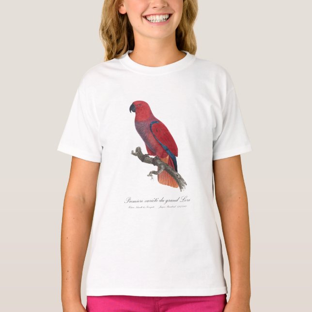 Camiseta Premiere variete du grand Lori / Loro de Eclectus (Anverso)