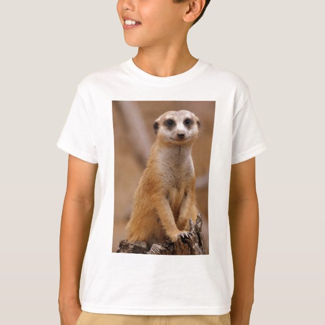 Camiseta Presentación de Meerkat (Anverso)