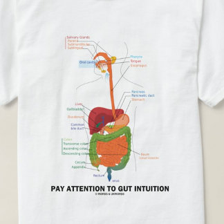 Camiseta Prestar Atención A La Intuición Del Gente (Humor A