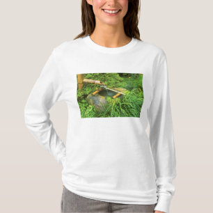 Camiseta Primavera de la Ceremonia de Té, Templo Sanzen-in