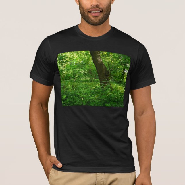 Camiseta Primavera en los bosques (Anverso)