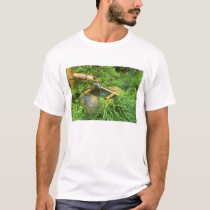 Camiseta Primavera para ceremonia del té, templo Sanzen-in,