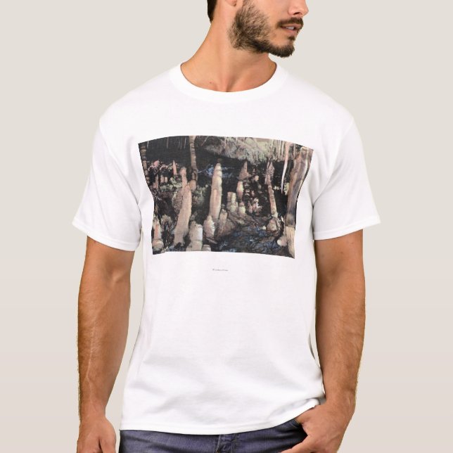 Camiseta Primaveras de Manitou, Colorado (Anverso)