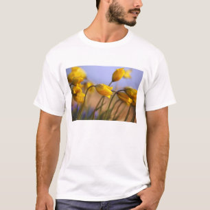 Camiseta Primer de narcisos