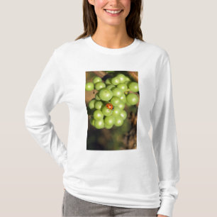 Camiseta Primer plano de mariquita en uvas verdes Pinot Noi