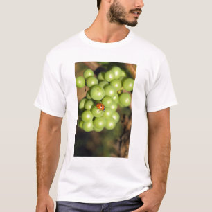 Camiseta Primer plano de mariquita en uvas verdes Pinot Noi