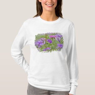 Camiseta Primer plano de Phlox de Drummond, Phlox drummondi