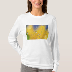 Camiseta Primer plano de telaraña con gotas de rocío