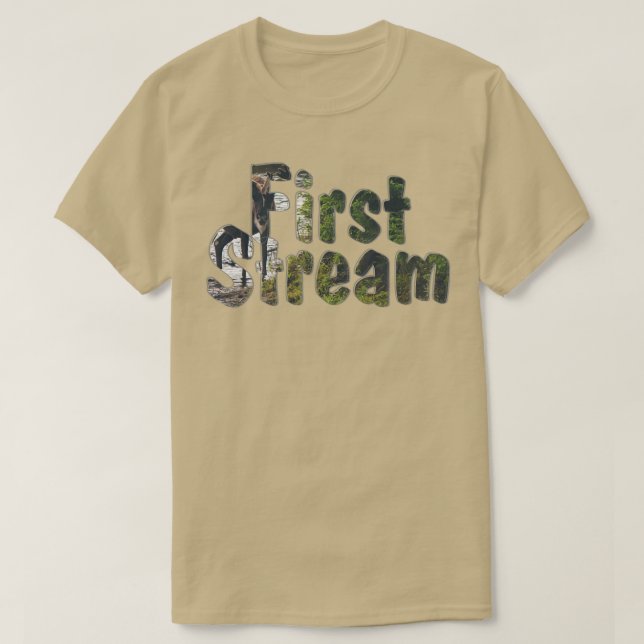 Camiseta Primera secuencia (Diseño del anverso)