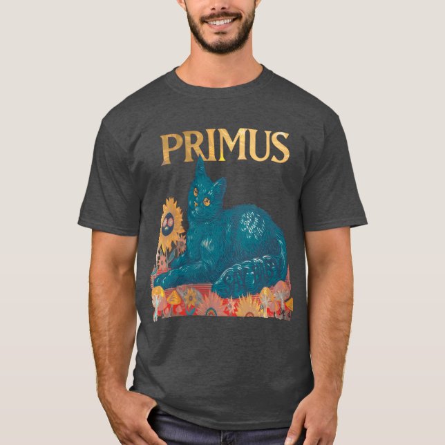Camiseta Primus Raw Epressive con narración emocional v (Anverso)
