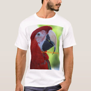 Camiseta Princesa Green Wing Macaw