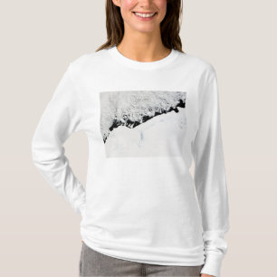 Camiseta Príncipe del este Olav Coast del ½ s del ¿Â de
