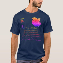 Camiseta Principios de Reiki solo para el arcoiris actual