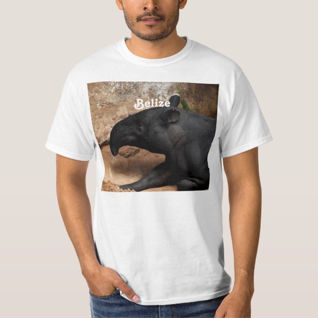 Camiseta Producto del personalizar (Anverso)