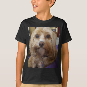 Camiseta Productos de Cavapoo o de Cavadoodle