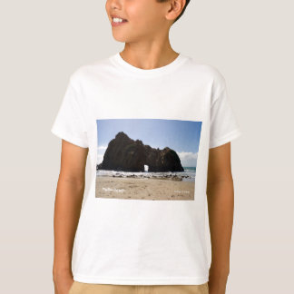 Camiseta Productos Pfeiffer Beach Big Sur California