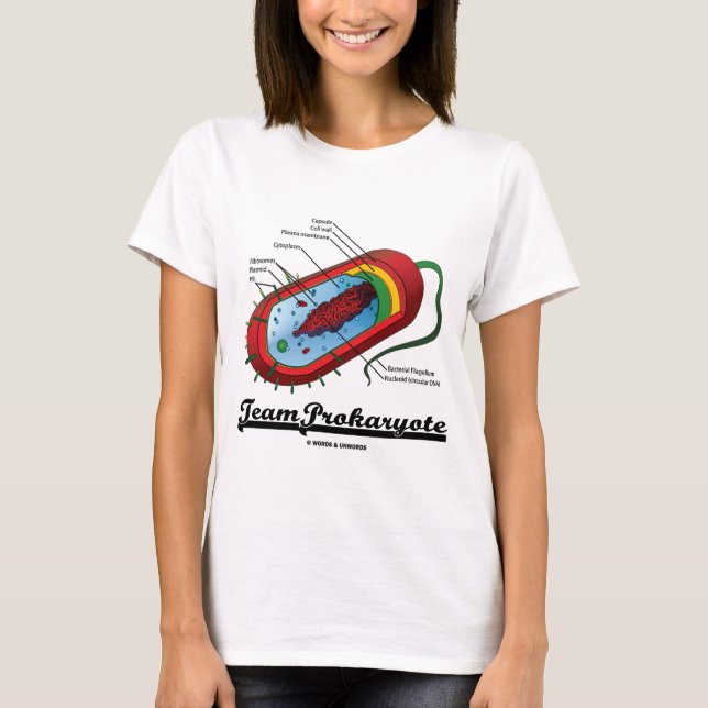 Camiseta Prokaryote del equipo (bacterias) (Anverso)
