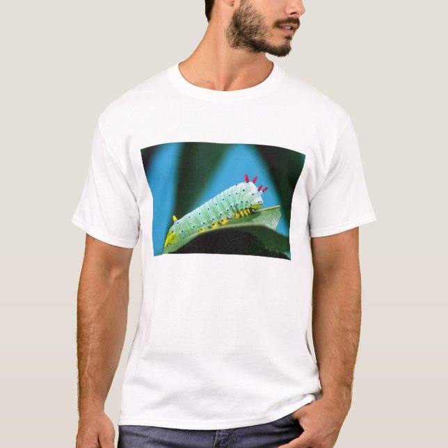 Camiseta Prometheus Moth Caterpillar, Callosamia (Anverso)