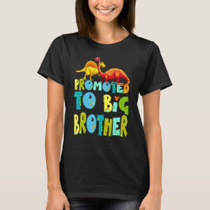 Camiseta Promovido A Gran Hermano Dino Fiesta De Revelación