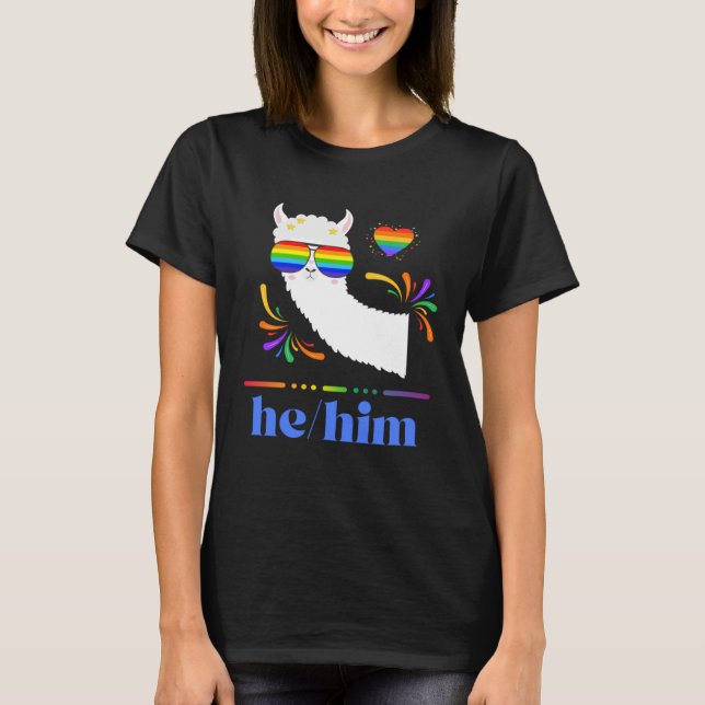 Camiseta Pronouns He Him Gay Pride Rainbow Groovy Lllama Re (Anverso)