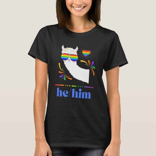 Camiseta Pronunció Su Orgullo Gay Arcoiris Groovy Lllama Re (Anverso)