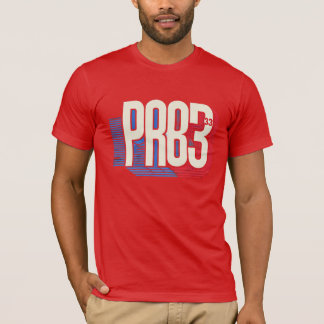 Camiseta prop. 33