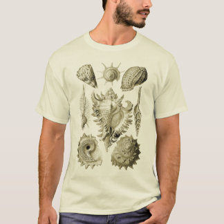 Camiseta Prosobranchia