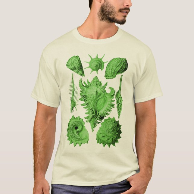 Camiseta Prosobranchia (Anverso)