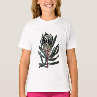 Camiseta Protea Lepidocarpon