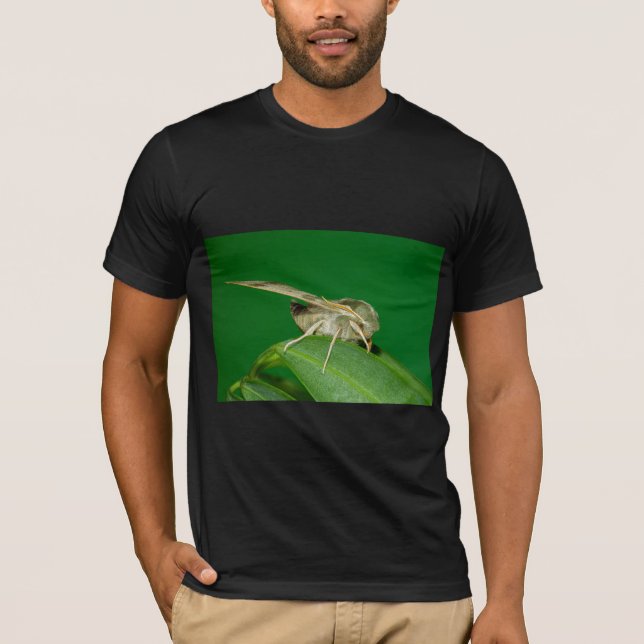 Camiseta Protège la planète terre (Anverso)