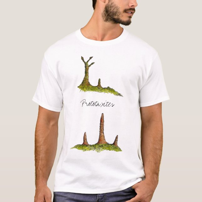 Camiseta Prototaxites hongos / Lichen T-Shirt (Anverso)